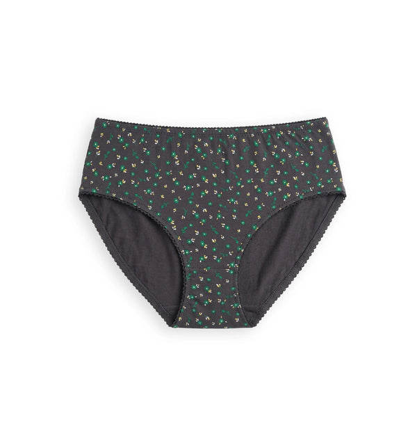 Zig Zag - Full Coverage  Mid-rise Hipster Panty With Scalloped Elastic, Playful Print _pack Of 3