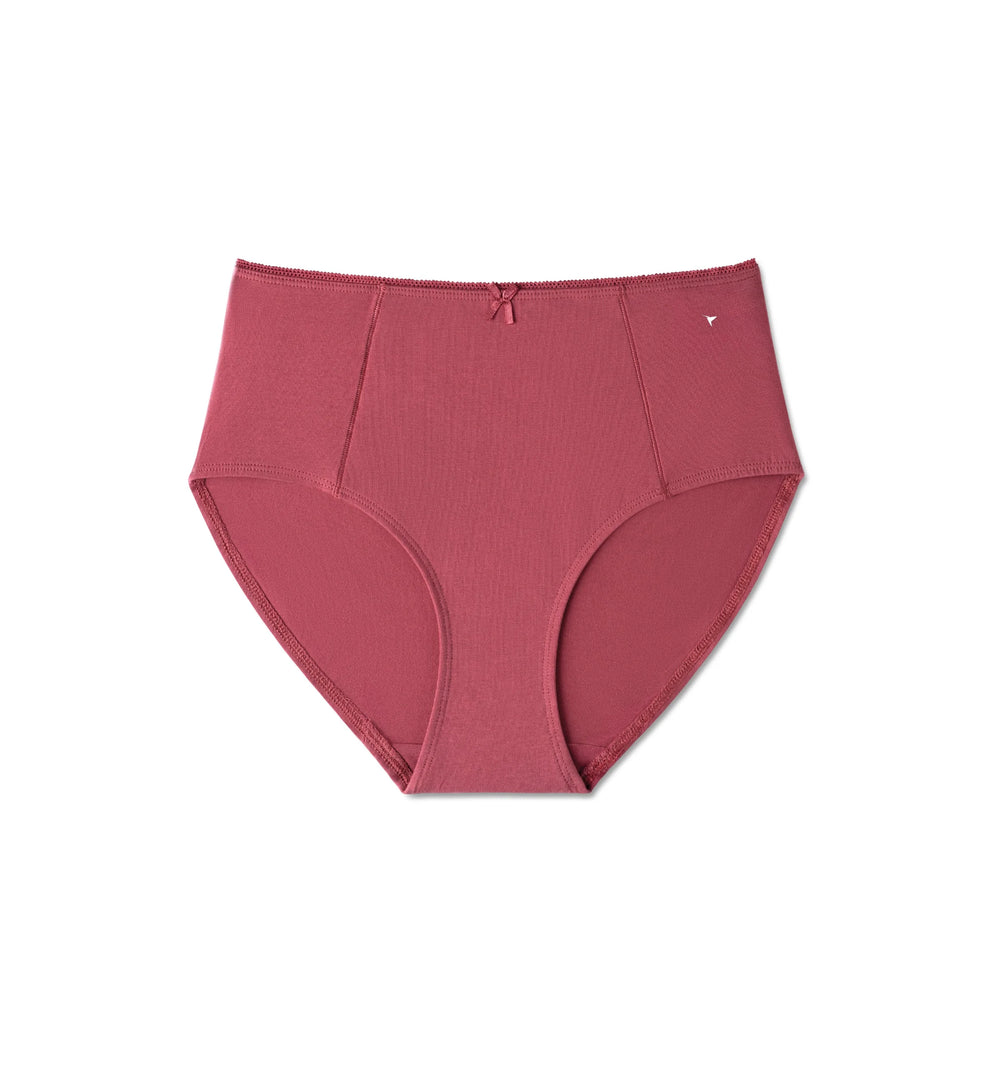 Hug U Panty - Stretch Cotton With Feminine Touch Pack of 2