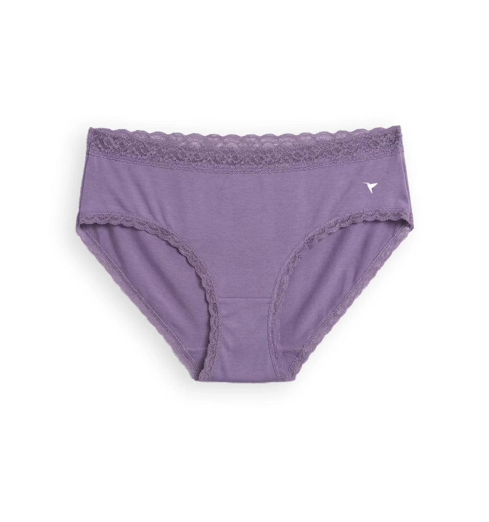Lacelet Panty - Soft Modal with Lace Elegance Pack Of 2