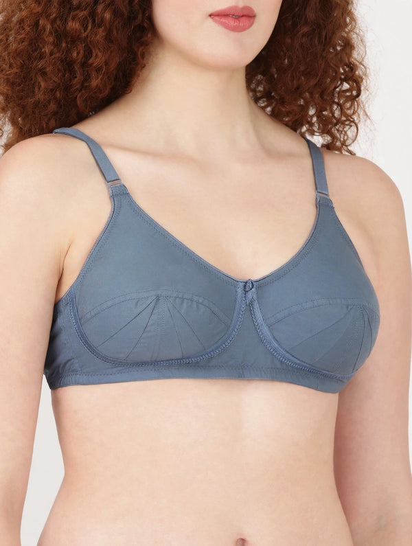 Saree Bra - Panel Structured Designed Support Bra