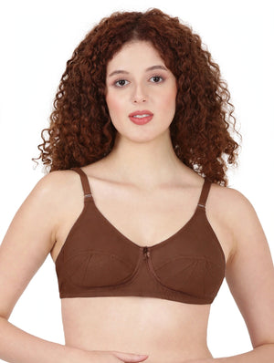 Saree Bra - Panel Structured Designed Support Bra