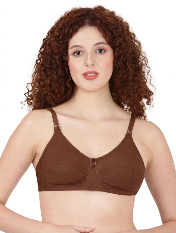 Saree Bra - Panel Structured Designed Support Bra