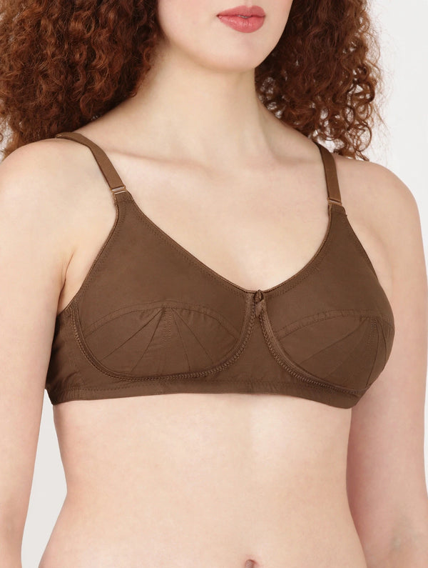 Saree Bra - Panel Structured Designed Support Bra
