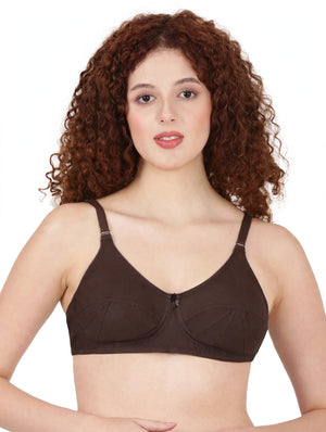 Saree Bra - Panel Structured Designed Support Bra