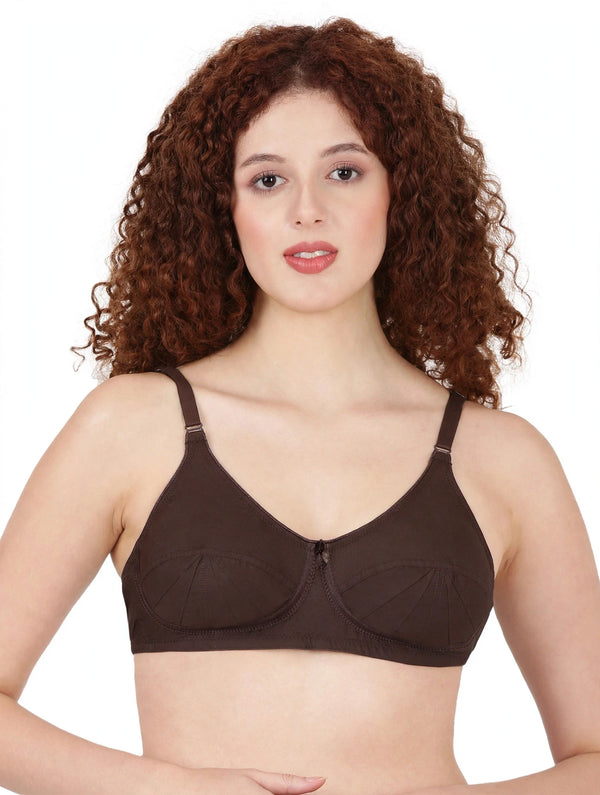 Saree Bra - Panel Structured Designed Support Bra
