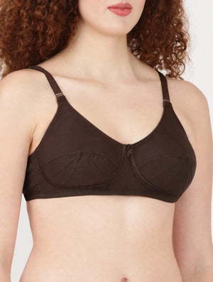 Saree Bra - Panel Structured Designed Support Bra