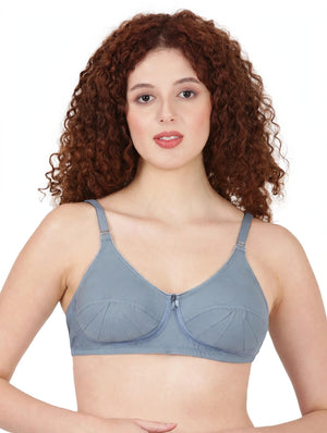 Saree Bra - Panel Structured Designed Support Bra