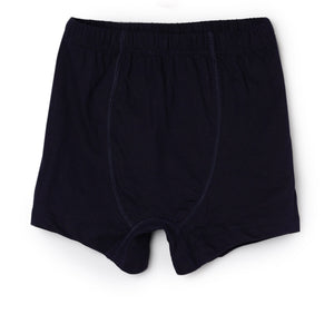 buy_blossom_cotton_concealed_elastic_waistband_assorted_panty_2pack