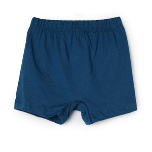 buy_blossom_cotton_concealed_elastic_waistband_assorted_panty_2pack