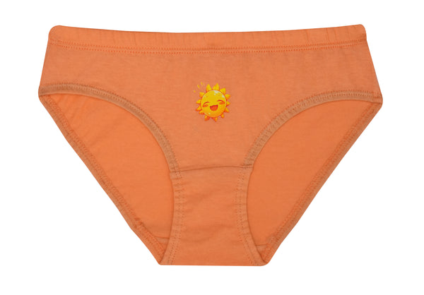 buy_blossom_cotton_inner_elastic_full_coverage_assorted_printed_panty_3pack