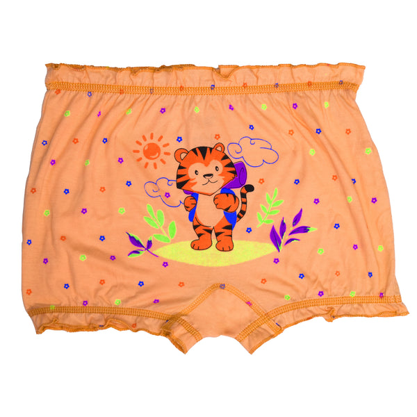 buy_blossom_cotton_soft_inner_elastic_printed_assorted_panty_3pack