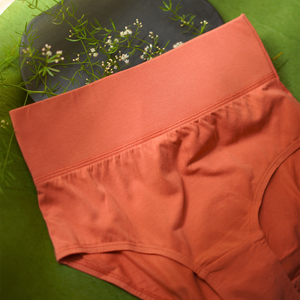 blossom-tummy tucker(pack of 2)-assorted1-tummy control-panty