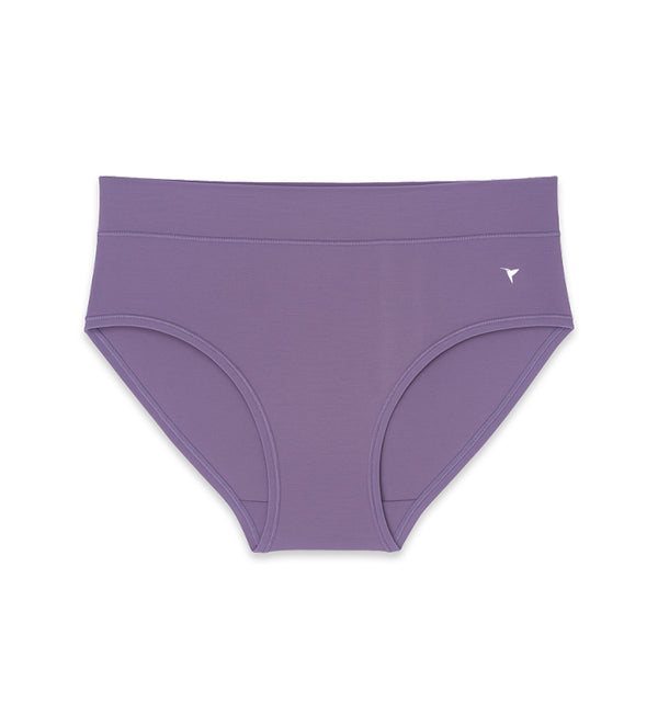 Snug Fit Panty - Seamless, Mid-Rise with Elastic-Free Outer Waistband Pack of 2