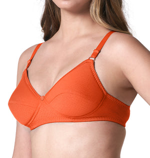 Lovely Pad - Lightly Padded Lace Trim Cotton Bra