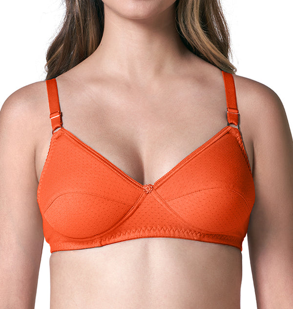 Lovely Pad - Lightly Padded Lace Trim Cotton Bra