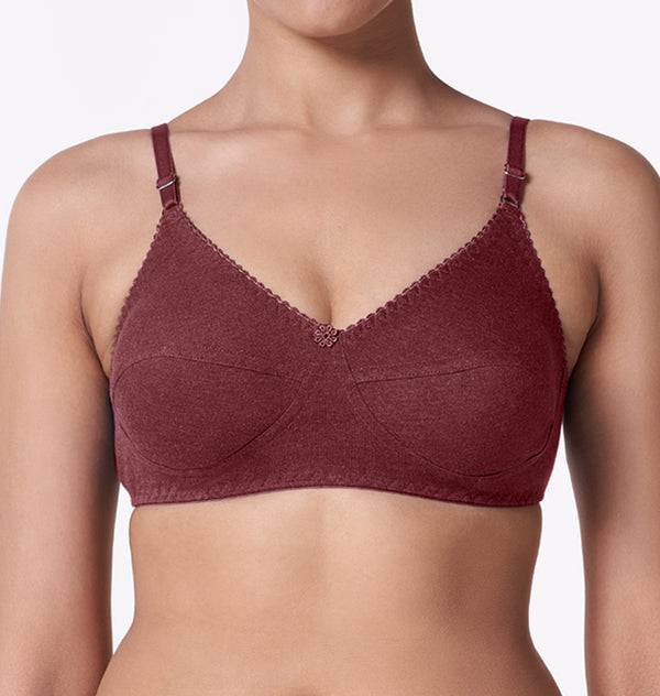 blossom-winners bra-maroon1-Knitted-everyday bra