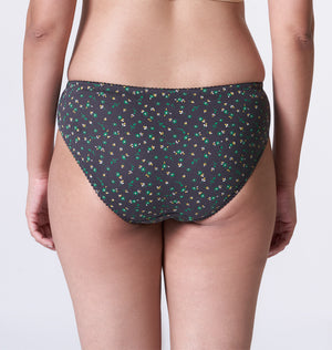 blossom-zig zag(pack of 3)-assorted6-hipster-panty
