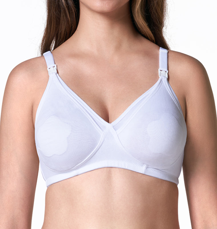 Blossom Mixed Perfect Pad Bra for Daily Wear at Rs 490/piece in