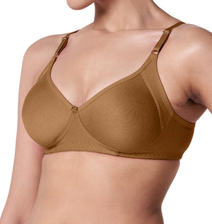 Buy_Blossom_Gracious_Bra -T Shirt_Bra_With_Moulded_Cups_Side_Panels_For_comfort_And_Support_camel_brown