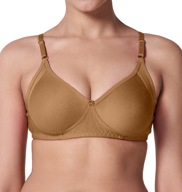 Buy_Blossom_Gracious_Bra -T Shirt_Bra_With_Moulded_Cups_Side_Panels_For_comfort_And_Support_camel_brown