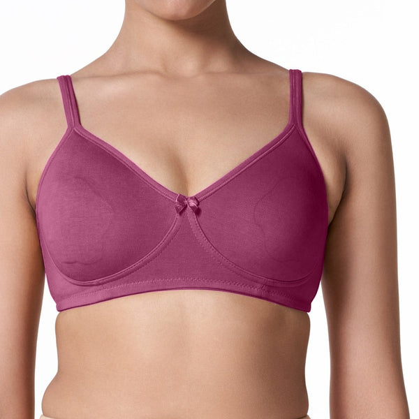 Buy_Blossom_Ultimate_Bra-Seamless_Double_layered_T-Shirt_Bra_with_nipple_concealer_pickle beet