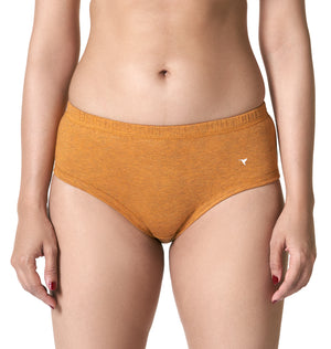 Buy_Blossom_cotton_poly blend_Panty_Hipster_mid rise_concealed waistband_Elastic free legs _full coverage_assorted Panty_3Pack